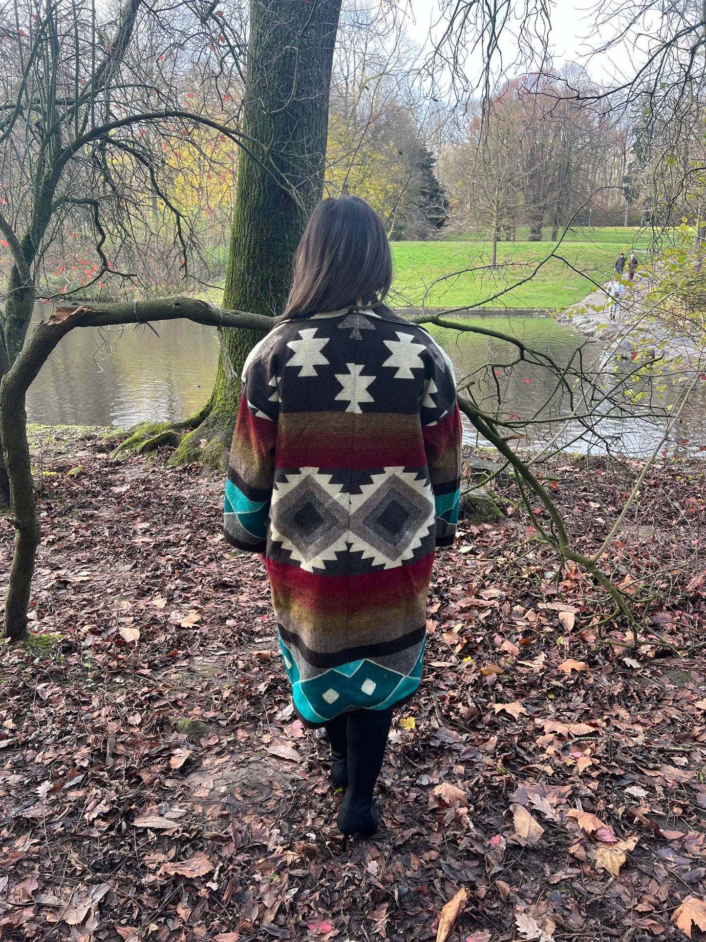 Manteau terre des andes