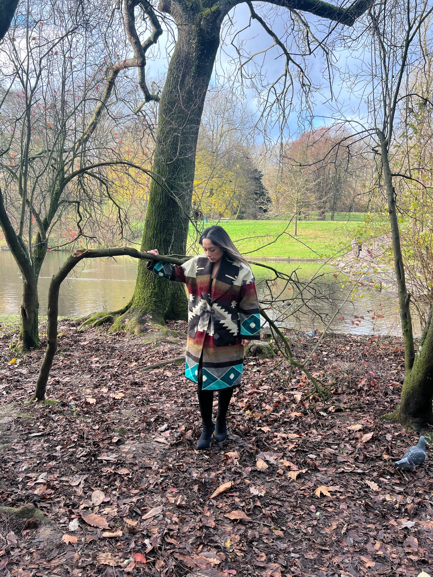 Manteau terre des andes