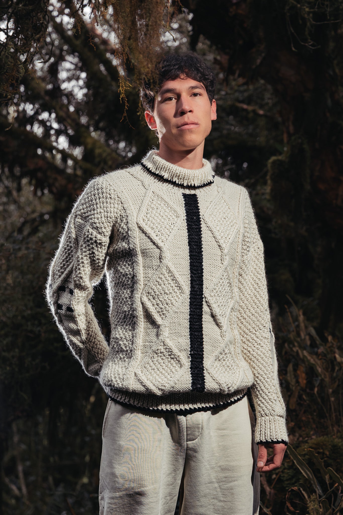 Pull andin col roulé