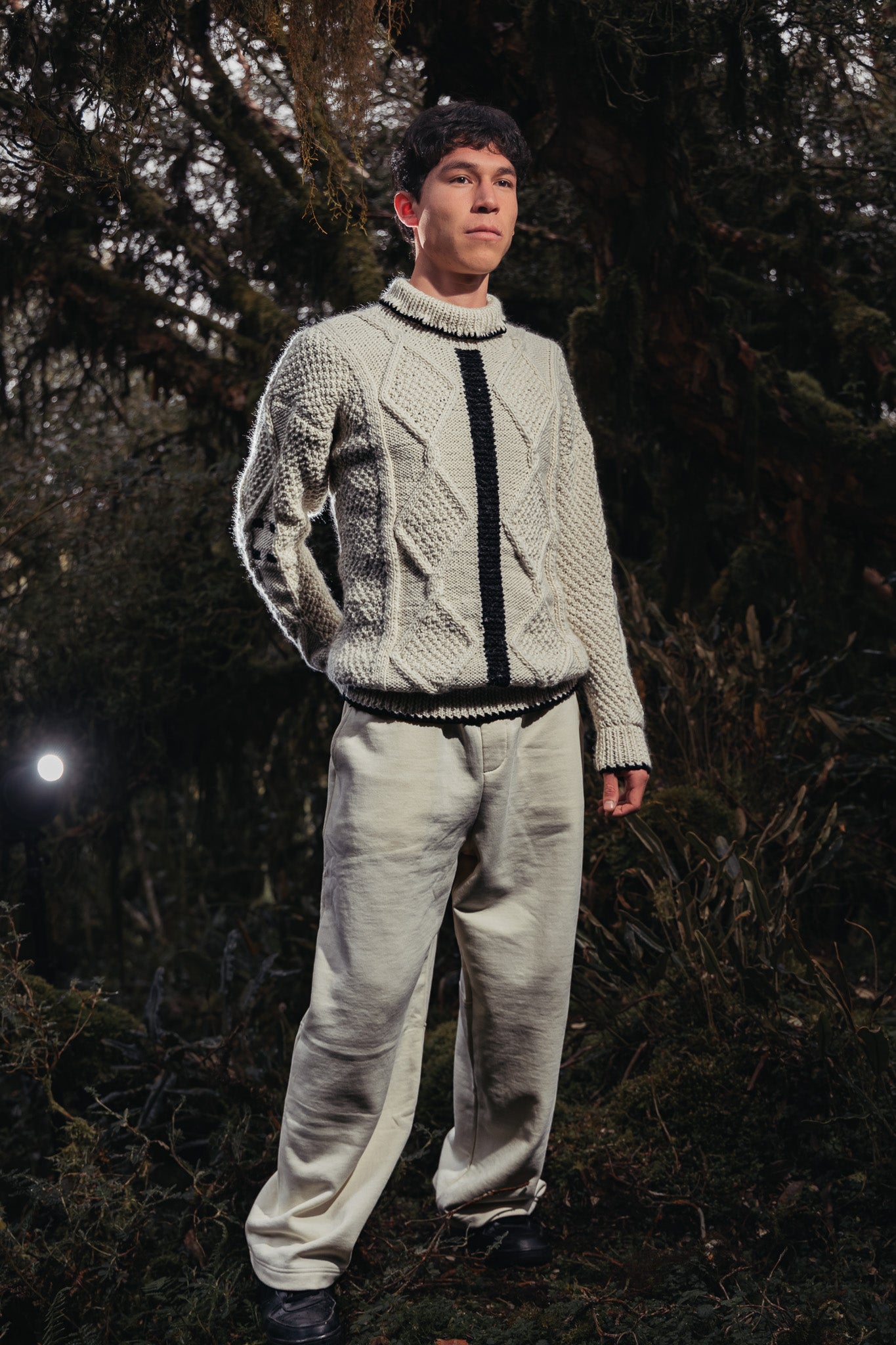 Pull andin col roulé