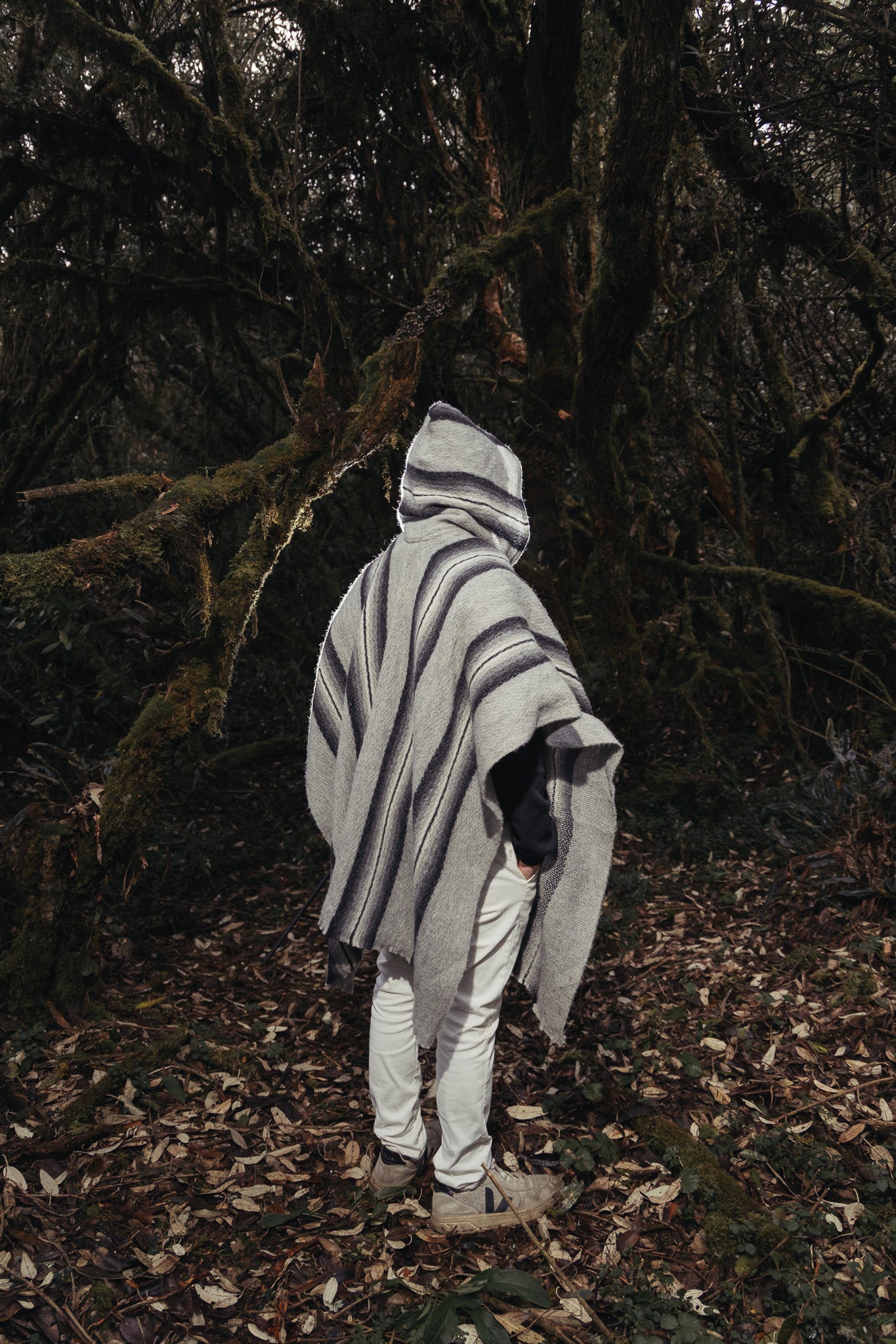 Poncho andin classique