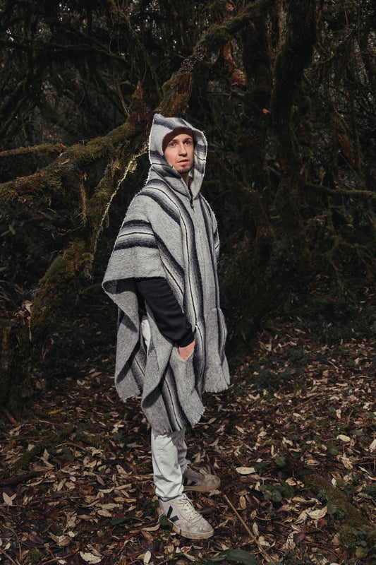 Poncho andin classique